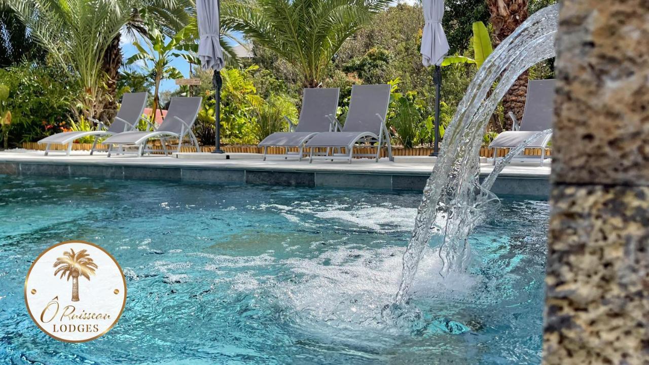 סן-לואי O Ruisseau Lodges - Lodge Cocotier מראה חיצוני תמונה