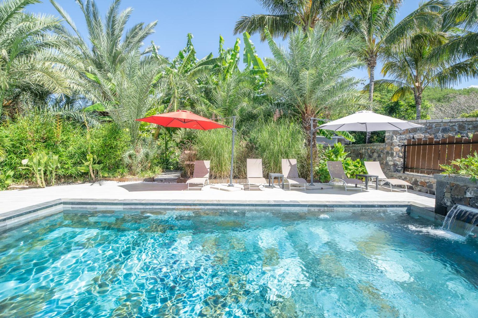 סן-לואי O Ruisseau Lodges - Lodge Cocotier מראה חיצוני תמונה